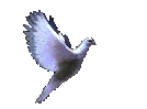 l'oiseau du bonheur