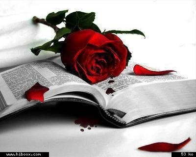 le livre
